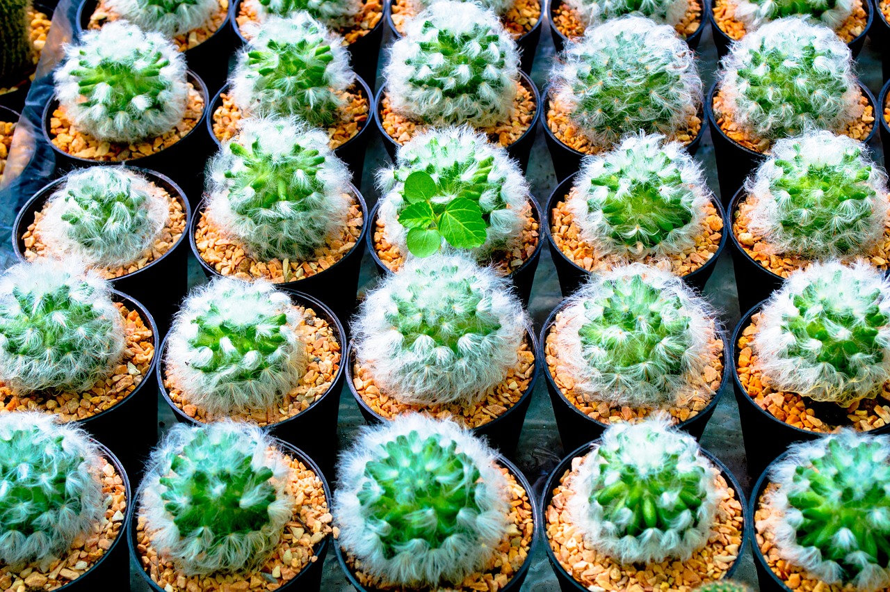 最新早安問候語