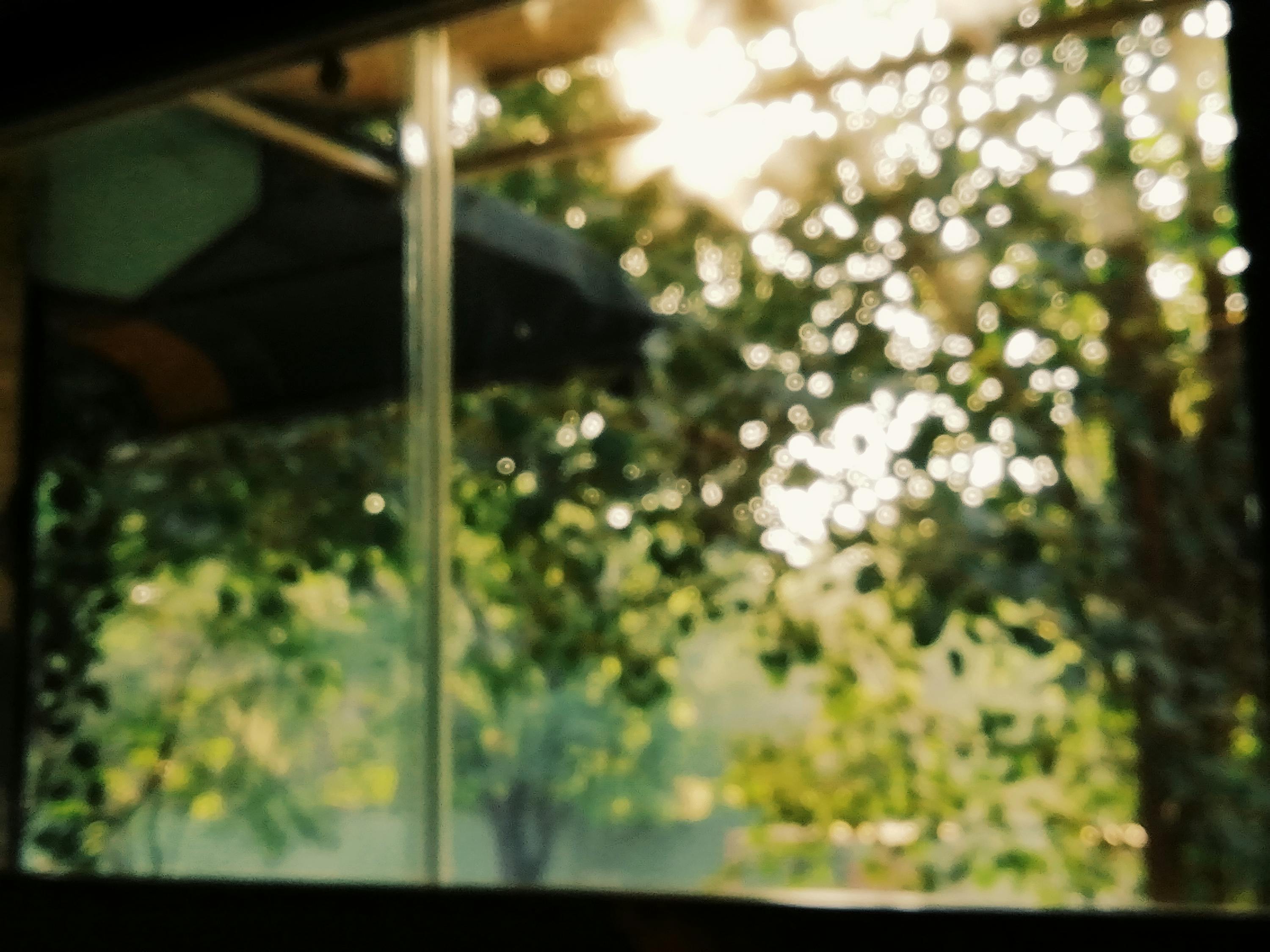 最新校園小說,青春的色彩與活力閃耀校園時光