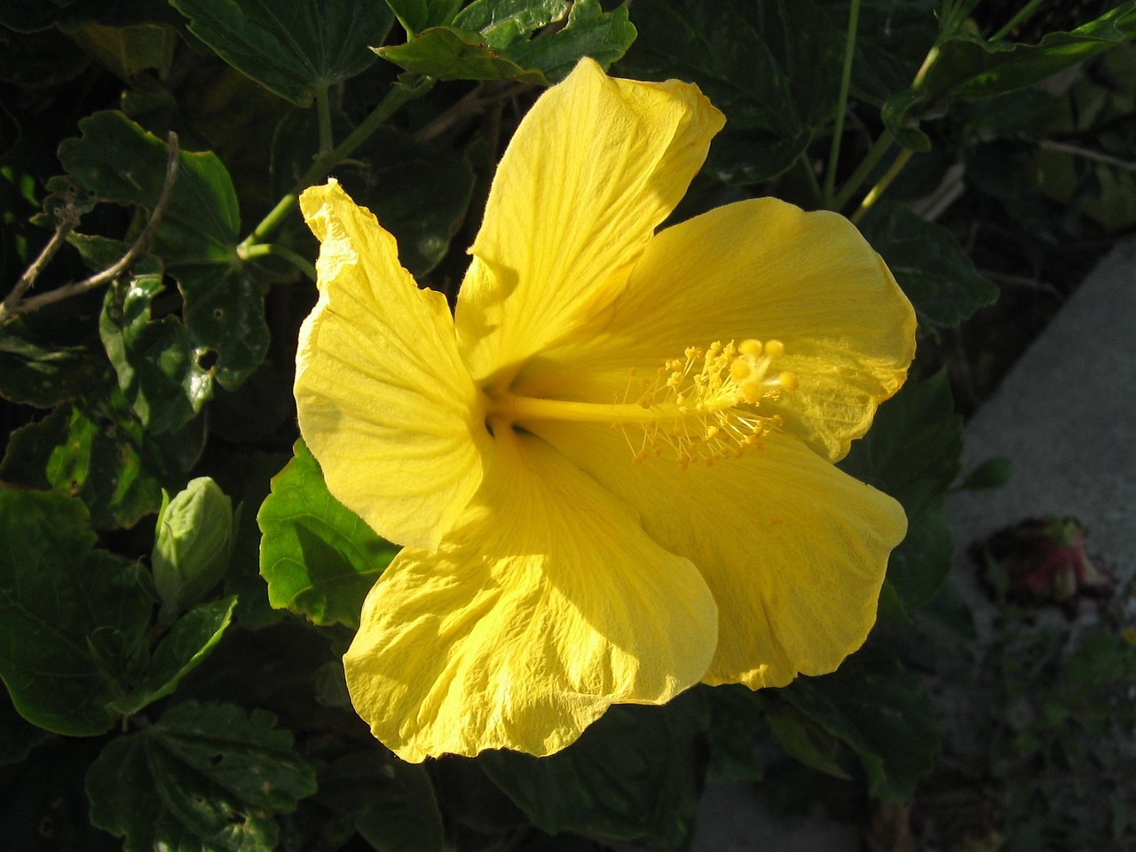 今日新鮮資訊概覽，快速了解最新動態(tài)與新聞熱點(diǎn)