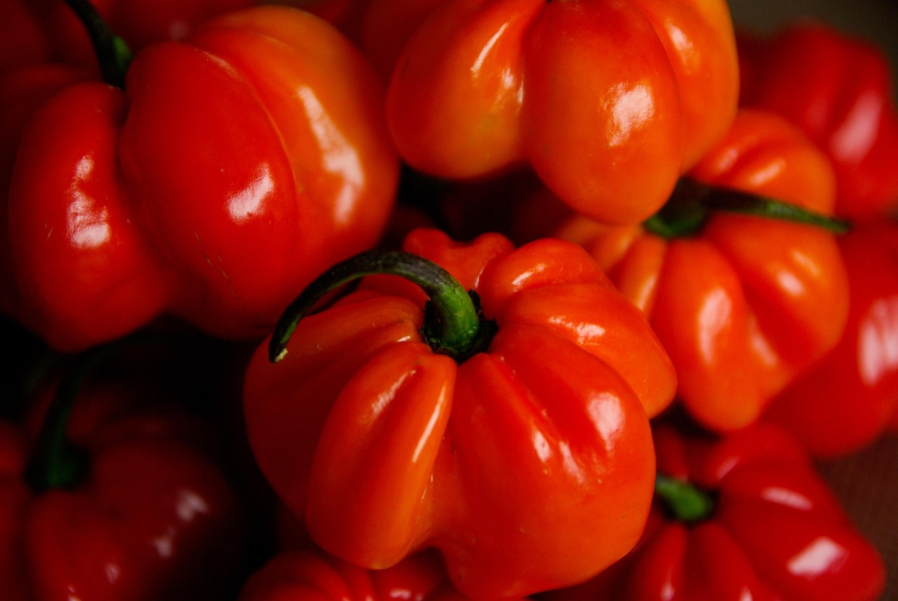 特朗普最新動態(tài)，重塑美國，全球矚目焦點