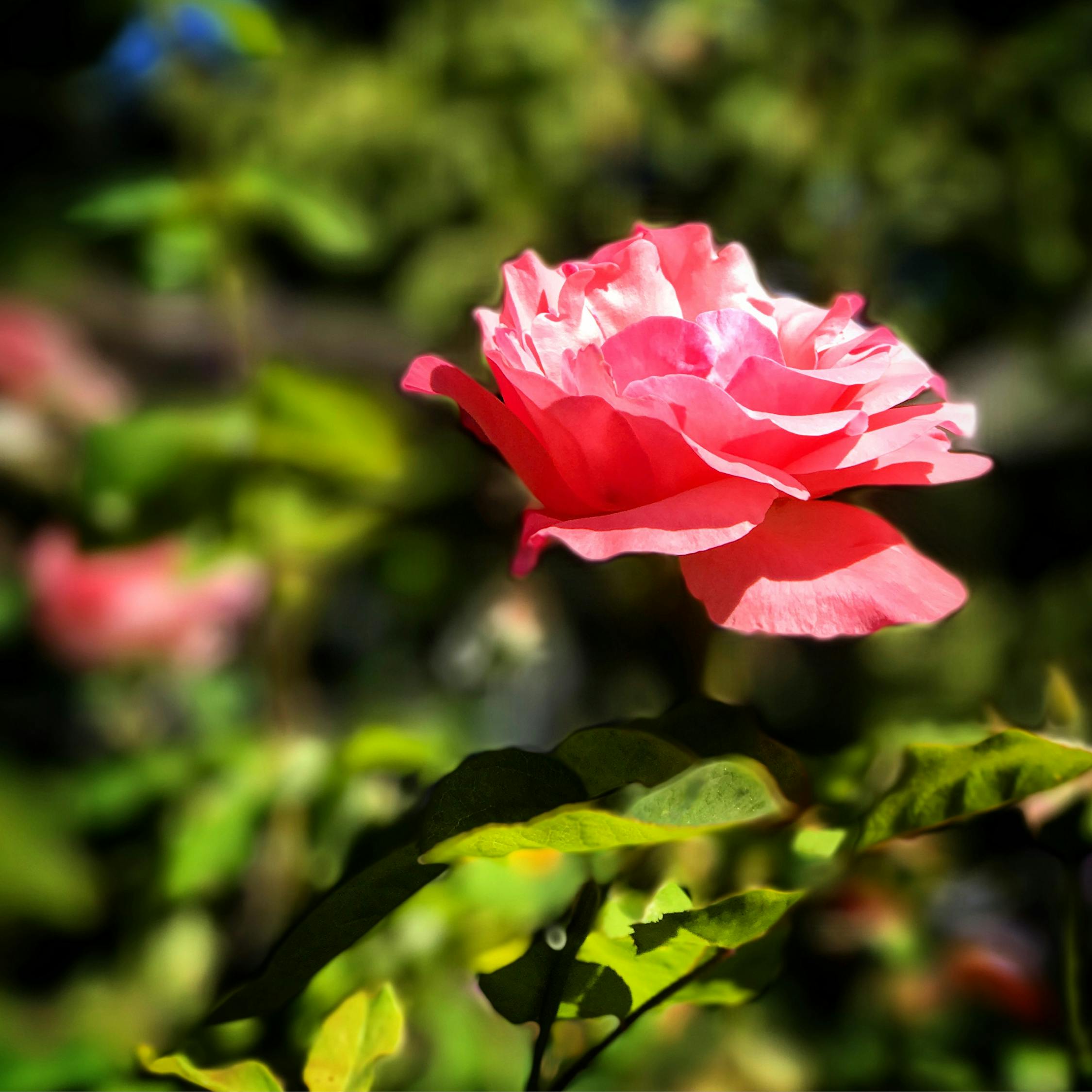 李易峰最新動(dòng)態(tài)，明星風(fēng)采持續(xù)閃耀