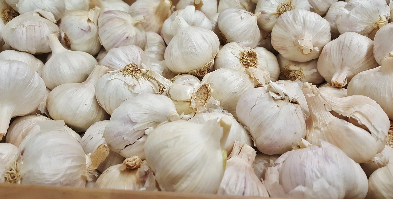 金鄉(xiāng)大蒜最新價(jià)格行情及分析