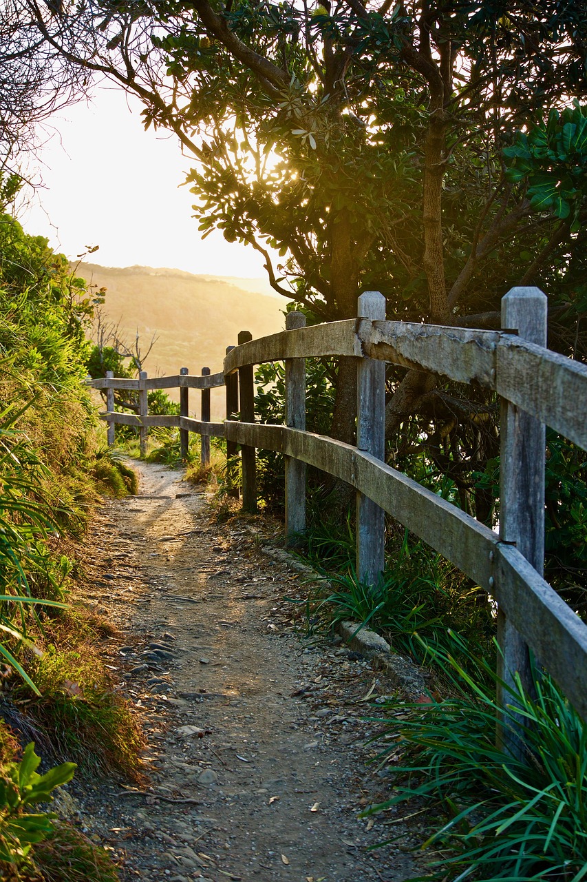 張家界玻璃橋最新影像,自然與科技的完美融合透視視頻欣賞