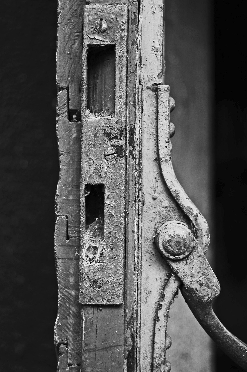 探索未知世界的神秘之門，最新章節(jié)列表全覽