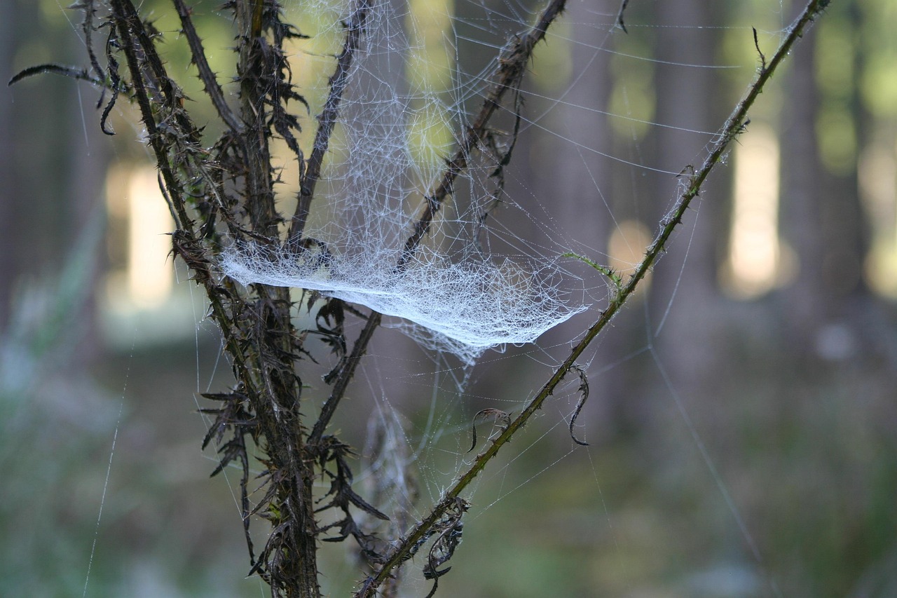 廣元廣平高速進(jìn)展順利,最新動(dòng)態(tài)助力區(qū)域經(jīng)濟(jì)發(fā)展