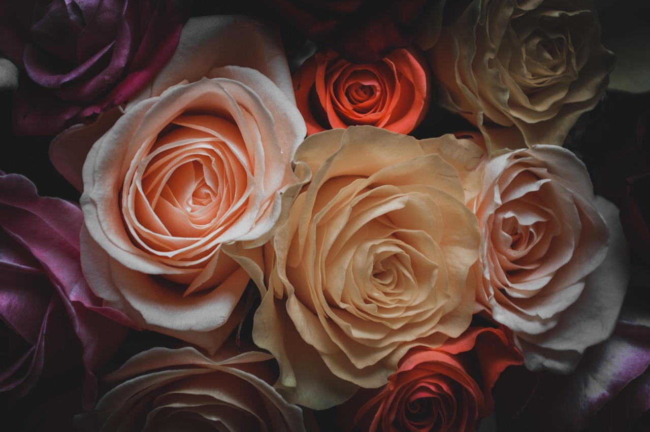 曲水無言 第37頁