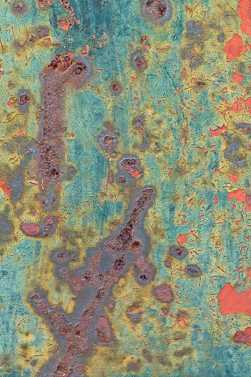 山東生豬最新報價動態(tài)、分析與預(yù)測