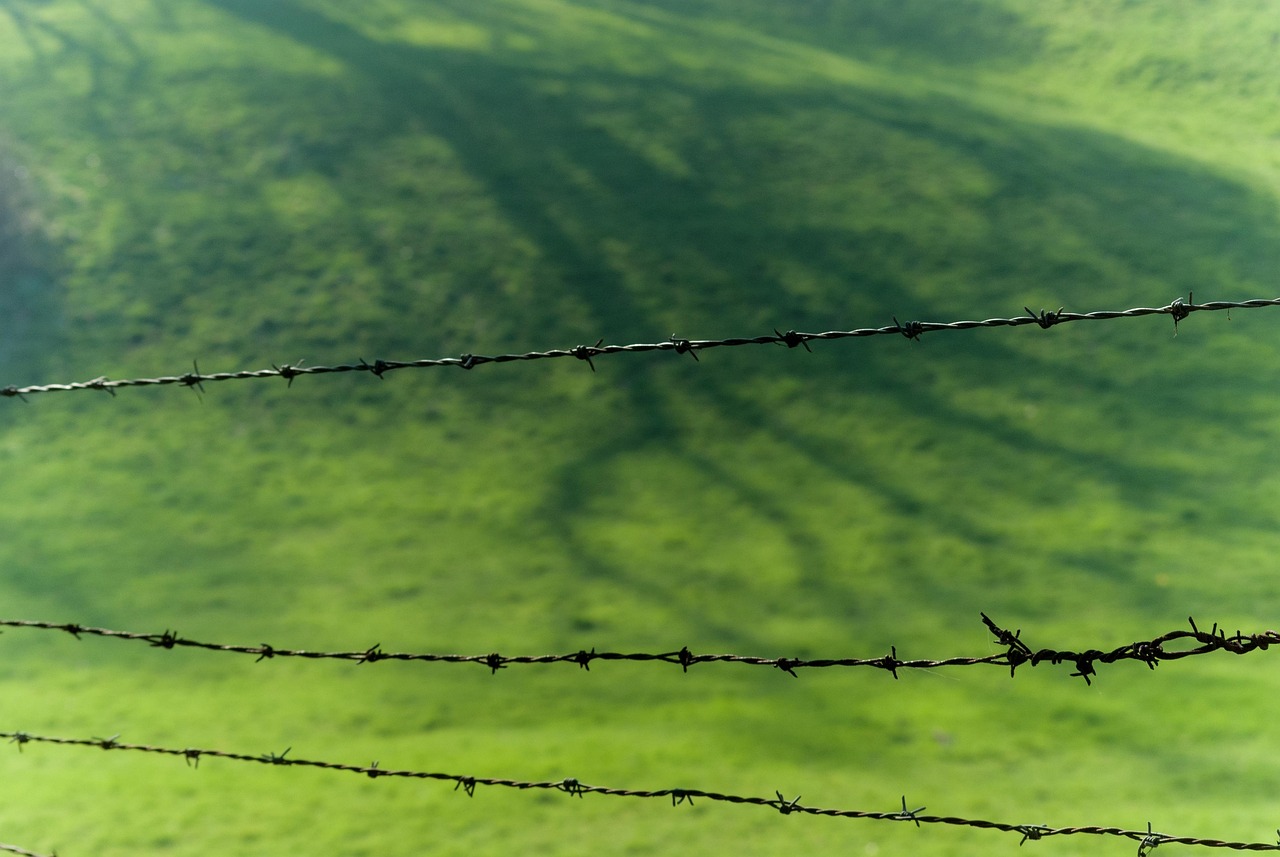 蒙羊牧業(yè)上市，草原產(chǎn)業(yè)迎來嶄新篇章