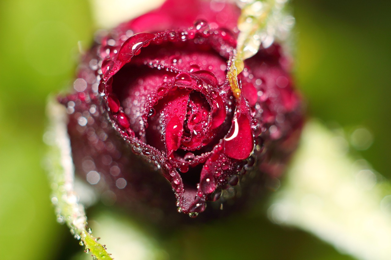 何波生人事任免動(dòng)態(tài)，深度解讀、前瞻與最新消息