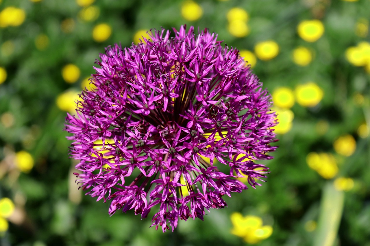 文馬高速進展順利,最新動態(tài)揭示未來可期