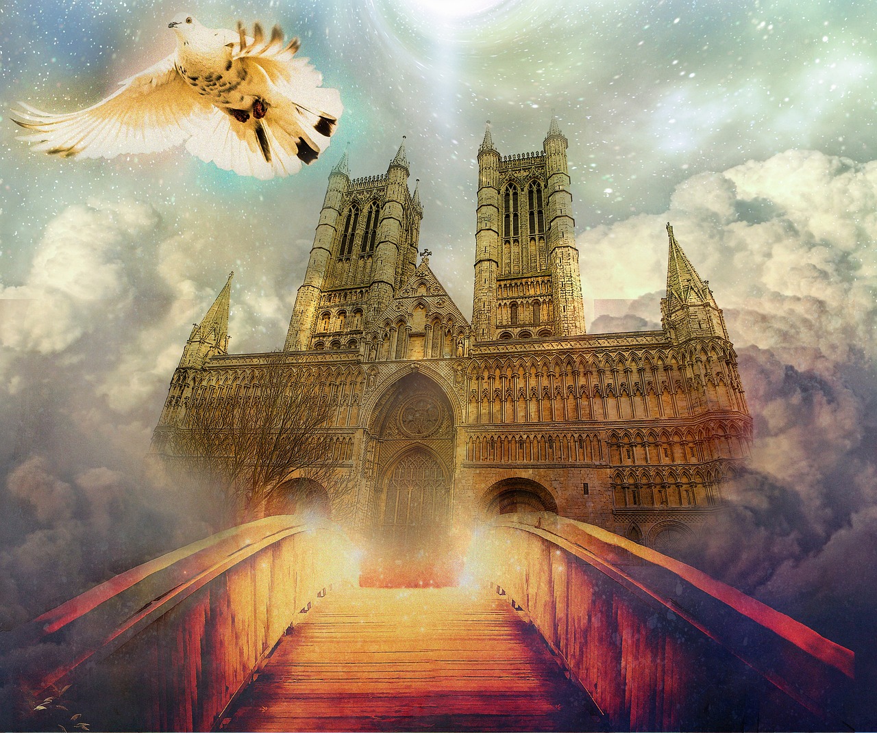 阿姆斯特丹電影，歷史、文化與藝術(shù)的交融之旅