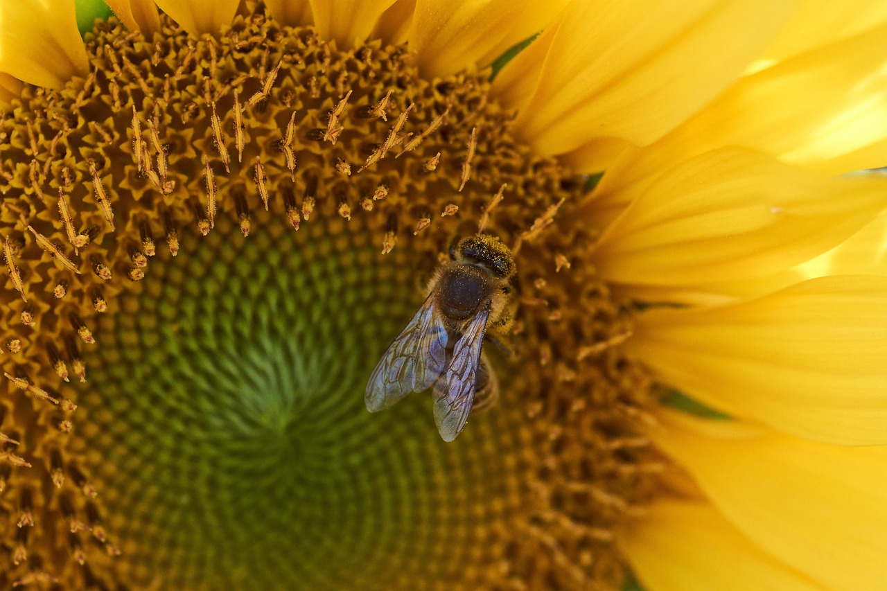 審計長劉加義最新動態(tài),深化審計監(jiān)督,推動國家治理現(xiàn)代化進(jìn)程聚焦職責(zé)的使命實踐