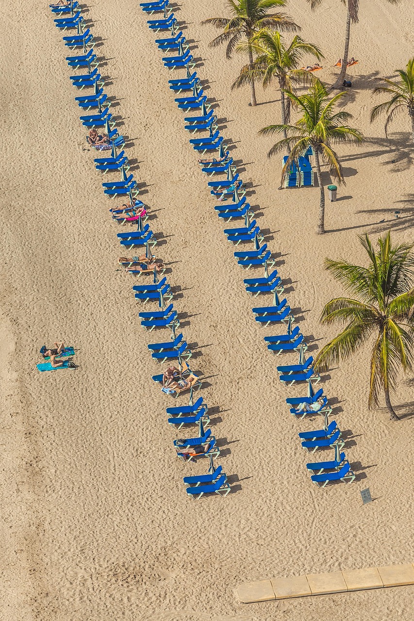饑餓鯊世界最新破解版下載攻略，體驗分享與下載指南