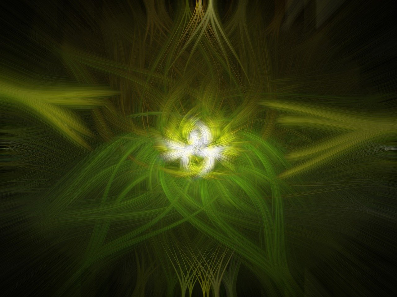 香港最新動態(tài),繁榮發(fā)展的藍(lán)圖與未來展望展望