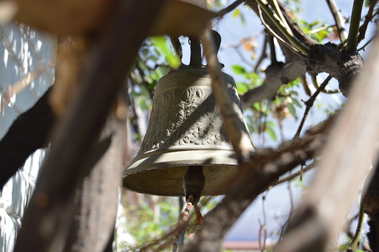 新會二手房市場最新動態(tài)及分析