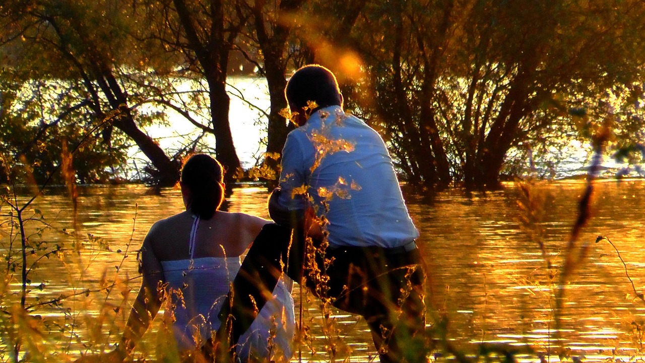張儷電影,銀幕上的璀璨之星
