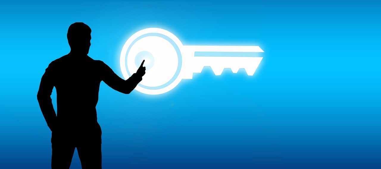 上市企業(yè)概覽，種類、特點(diǎn)、影響及概述大全