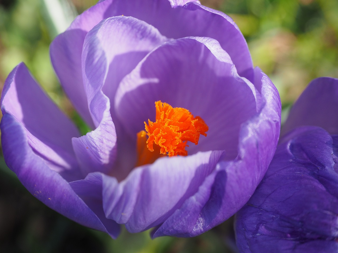 高州614縣道最新進(jìn)展動(dòng)態(tài)