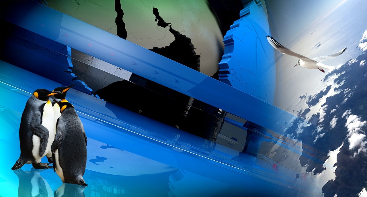 探索最新AV地址的奇幻世界