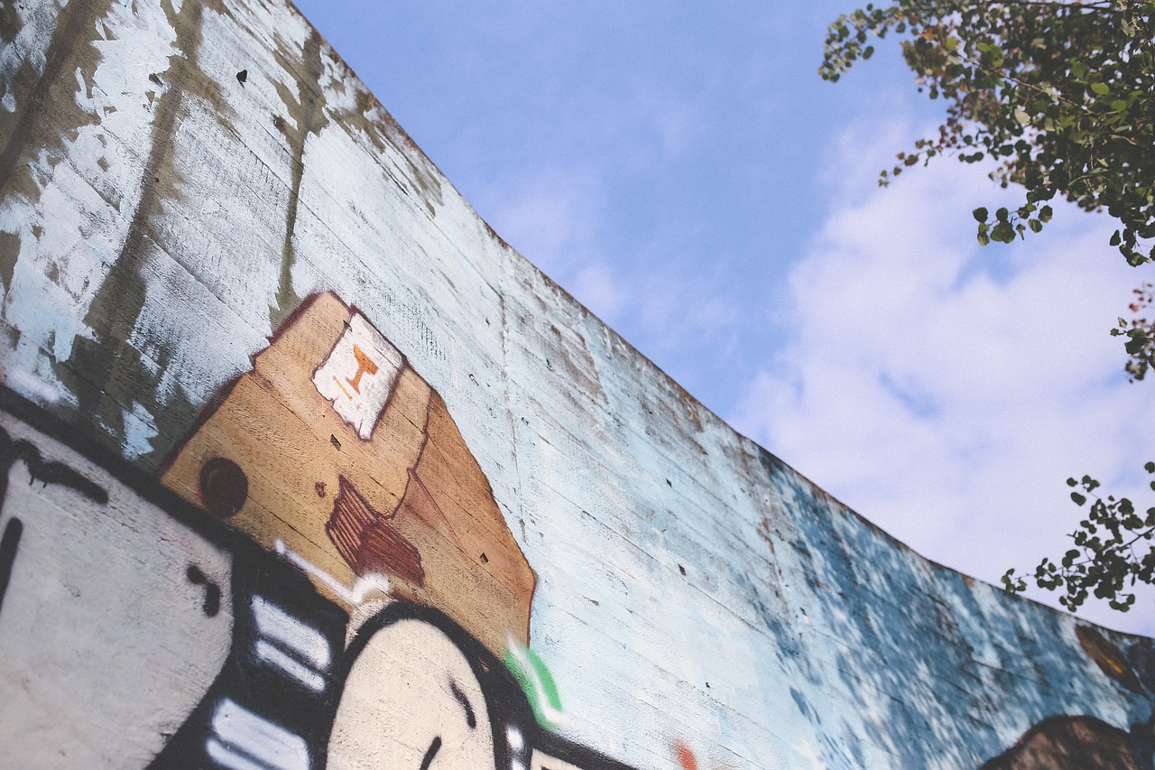 雞鴨行情市場走勢深度解析，影響因素分析與預(yù)測報(bào)告