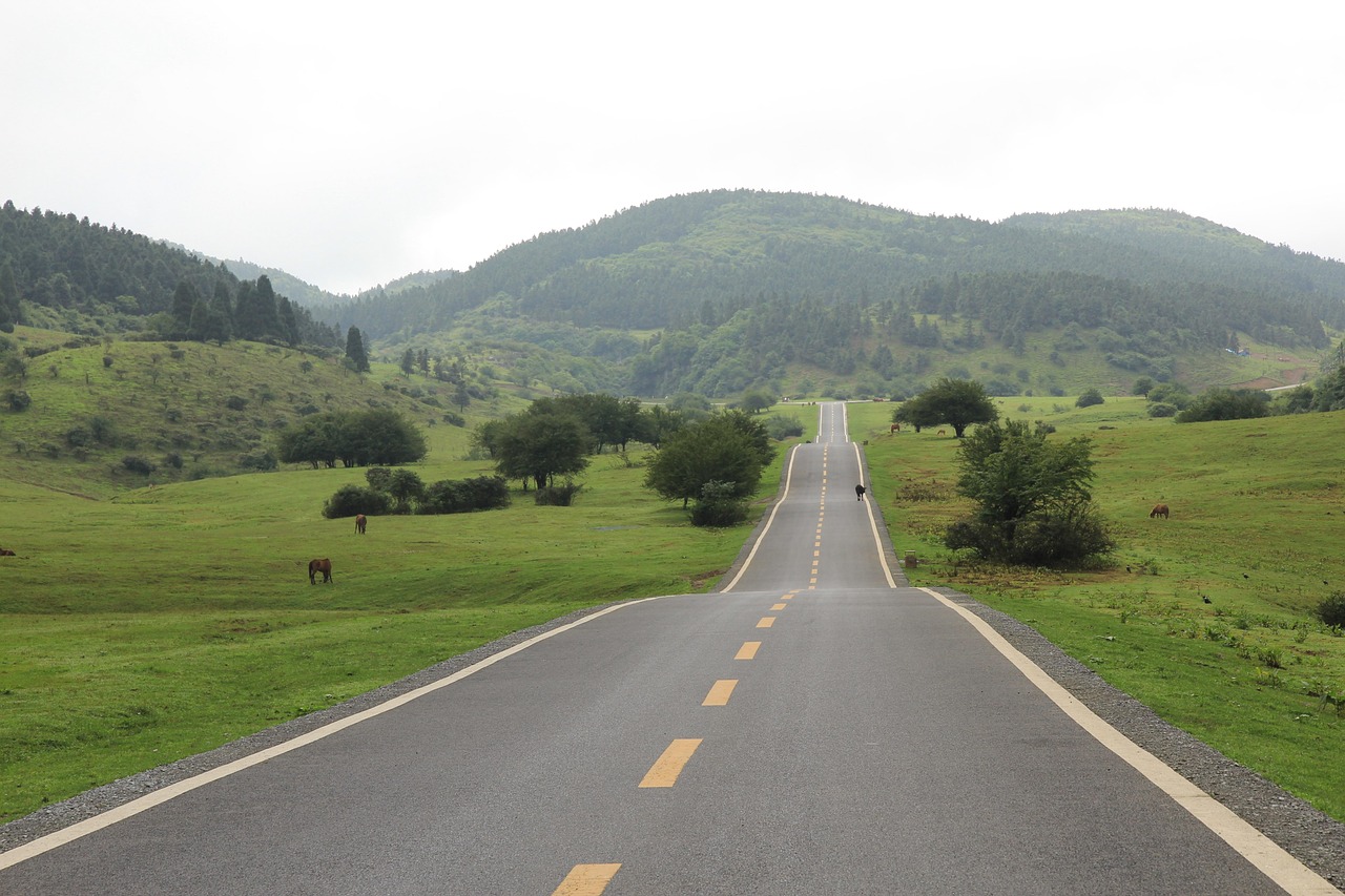 圣牧上市,草原牧業(yè)騰飛引資本市場矚目