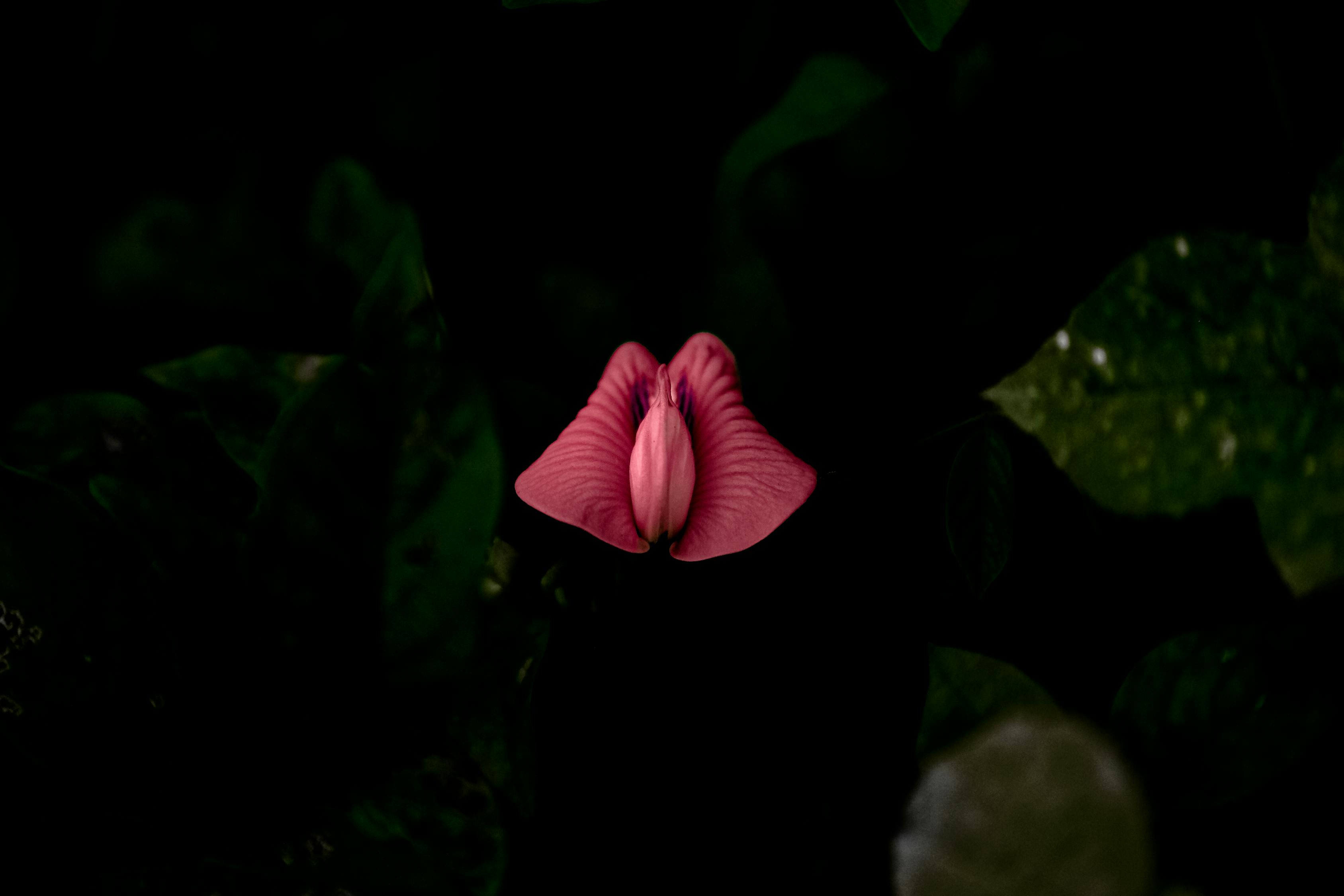 動(dòng)漫帥氣頭像，探索個(gè)性魅力與獨(dú)特表達(dá)的藝術(shù)