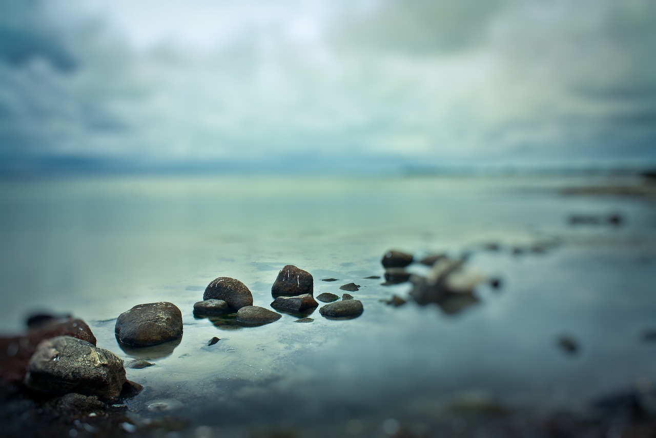 最新熱門收藏的魅力與價(jià)值探索