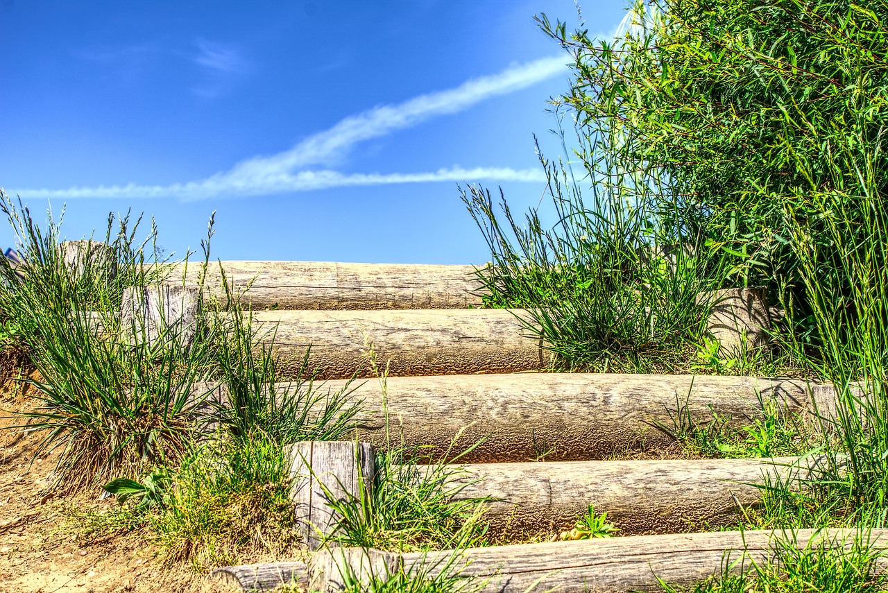 美盈森最新動態(tài)，創(chuàng)新發(fā)展的前沿引領者崛起。