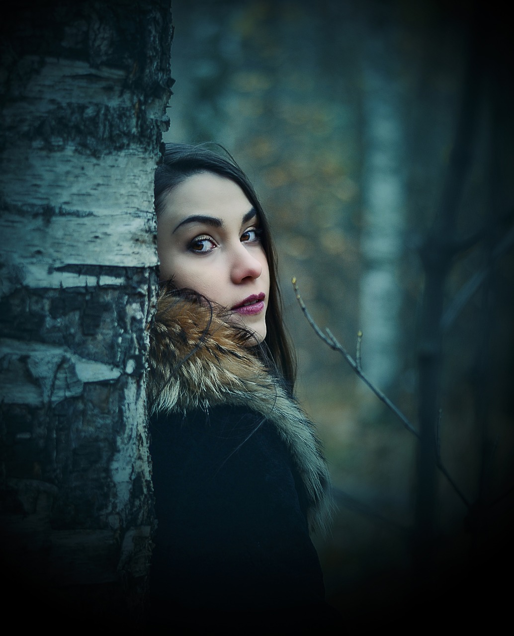 黑暗圣經(jīng)動漫的魅力與深度，在線觀看探索之旅