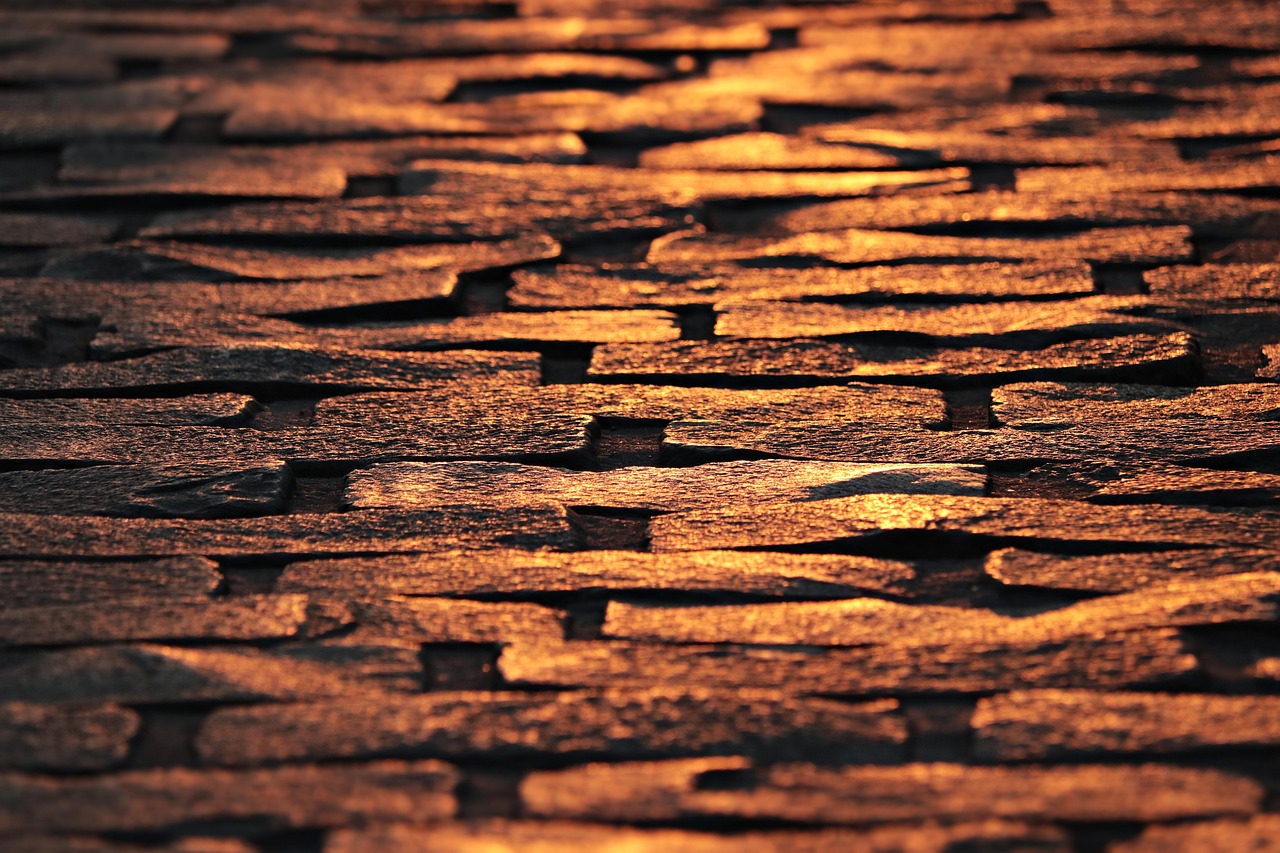 歐菲光歷史行情深度解析與回顧