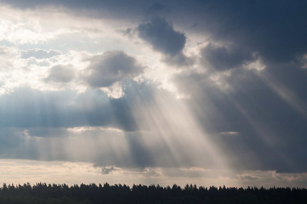 安徽六安明星，閃耀之光照亮前行之路