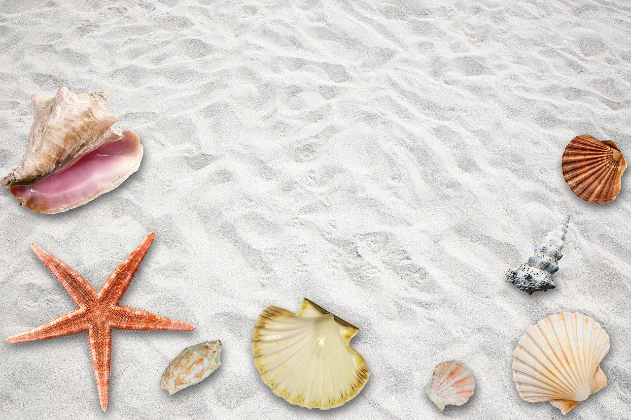 昭通青崗嶺鄉(xiāng)鄉(xiāng)村振興與社區(qū)發(fā)展新動態(tài)