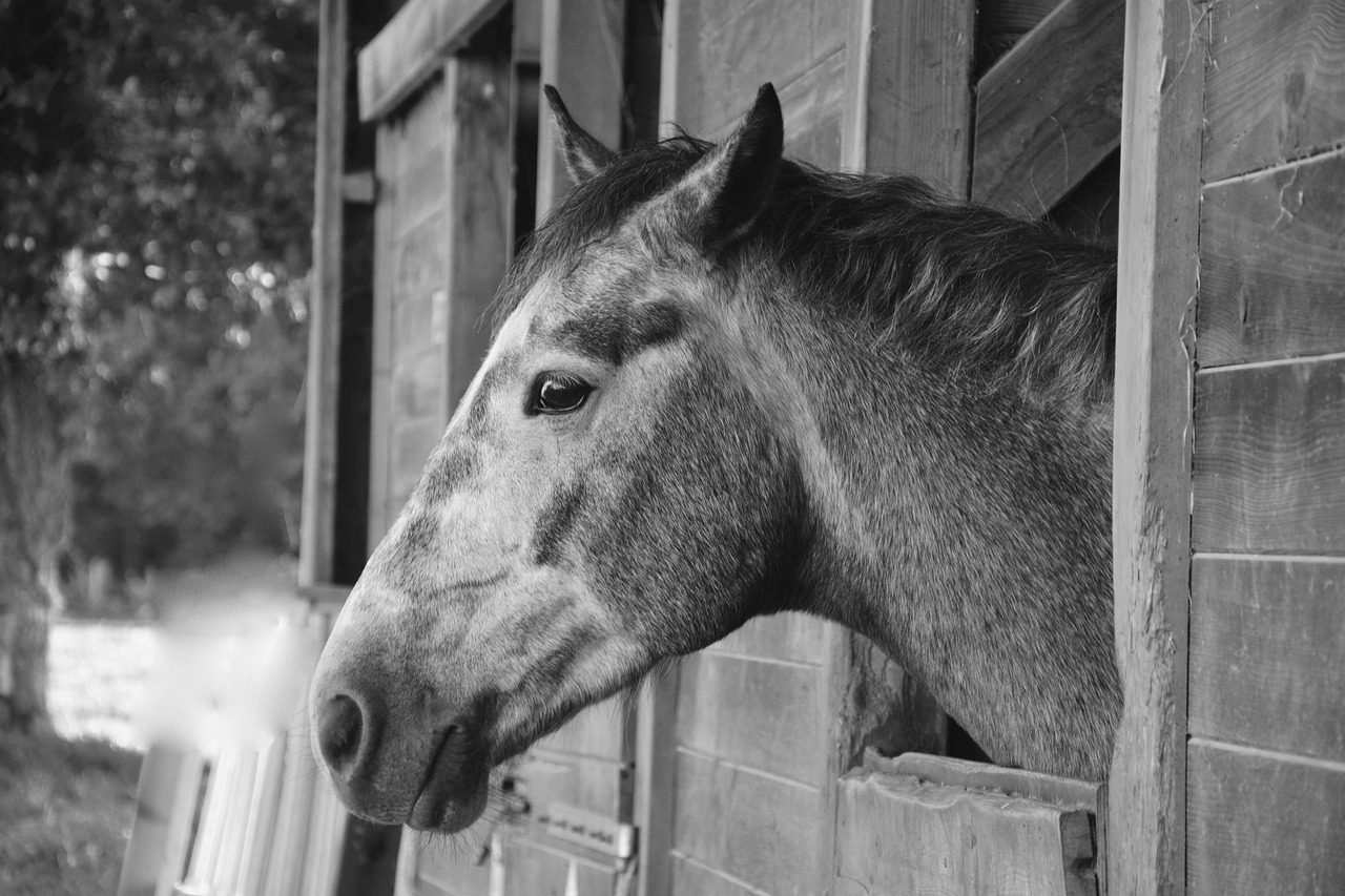 天氣預報實時更新,掌握天氣動態(tài),助力生活規(guī)劃與安排