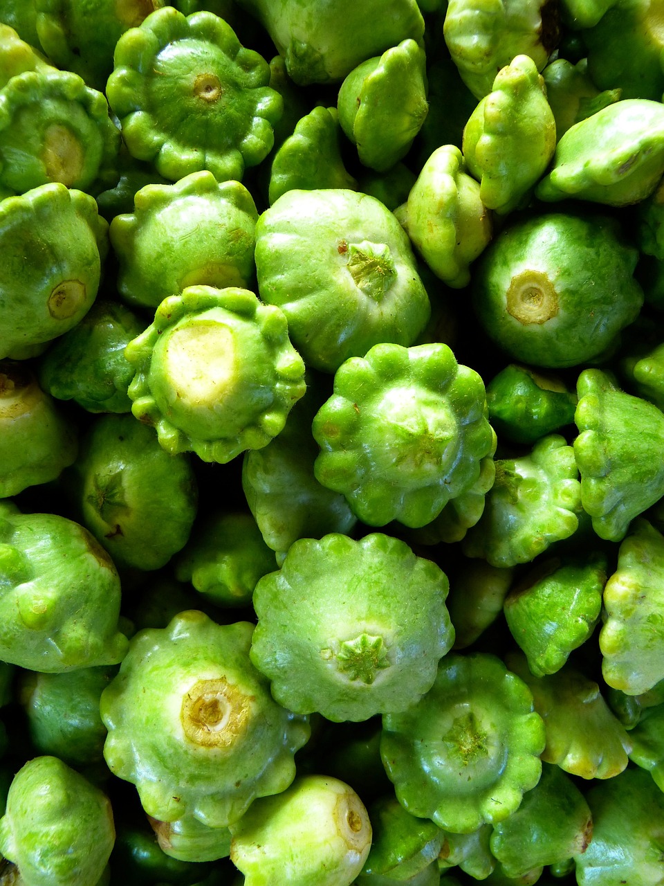 最新食用菌類，營(yíng)養(yǎng)與健康的新選擇之道