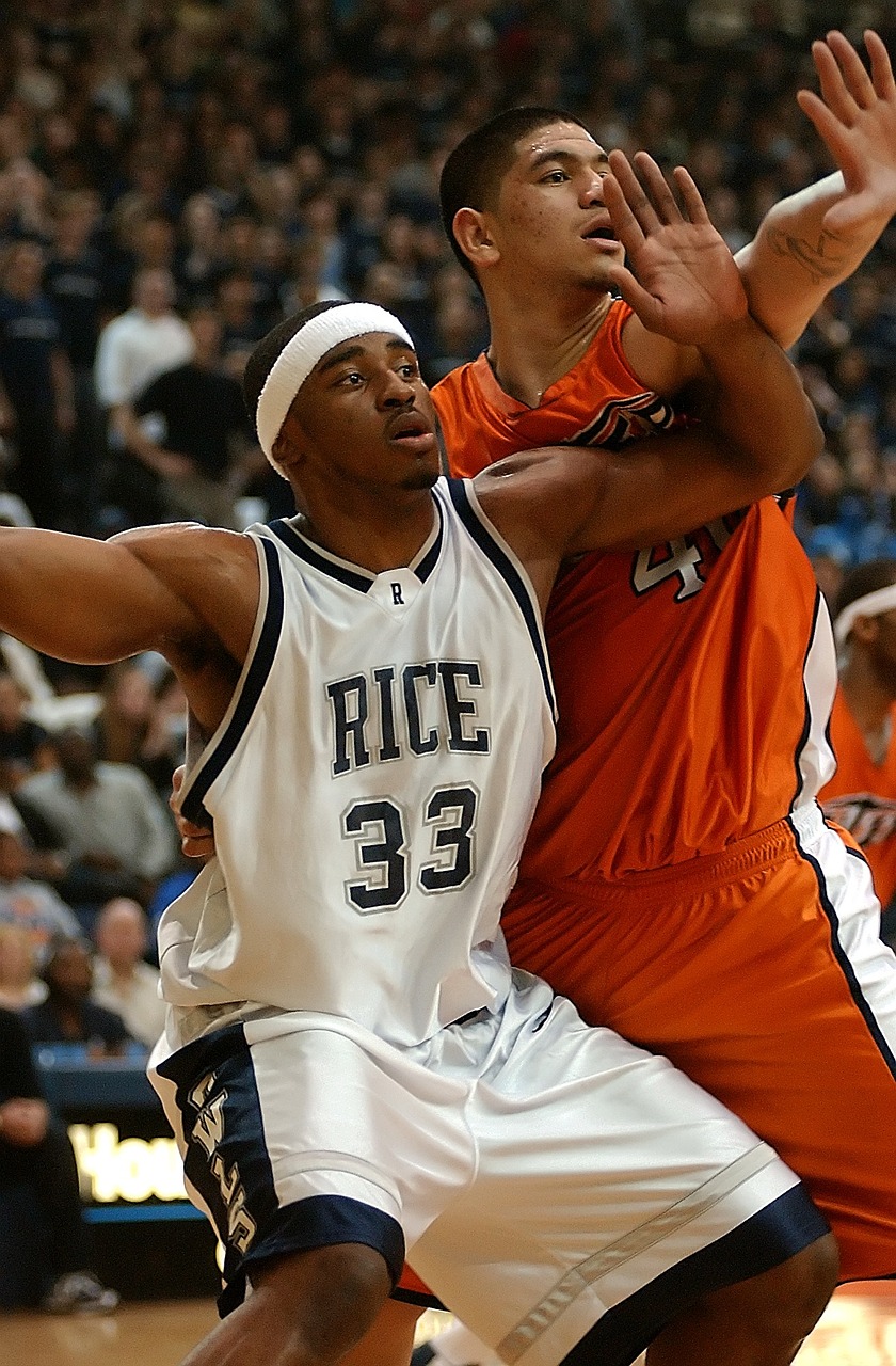 最新競技陣容,重塑賽場格局的終極力量