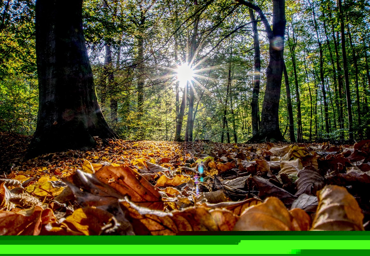 IU最新動態(tài)，音樂、影視與時尚界的耀眼明星消息