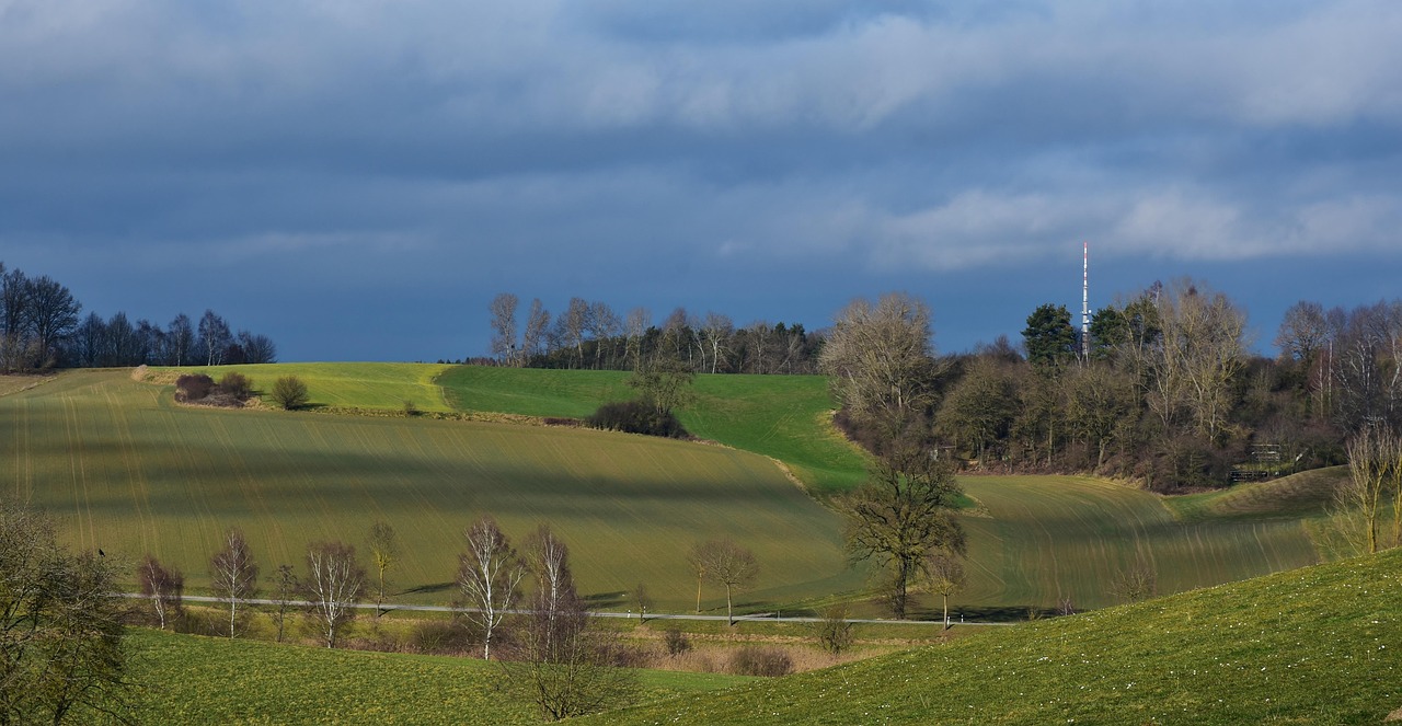 大塘面資訊，探索新時代鄉(xiāng)村發(fā)展的脈搏
