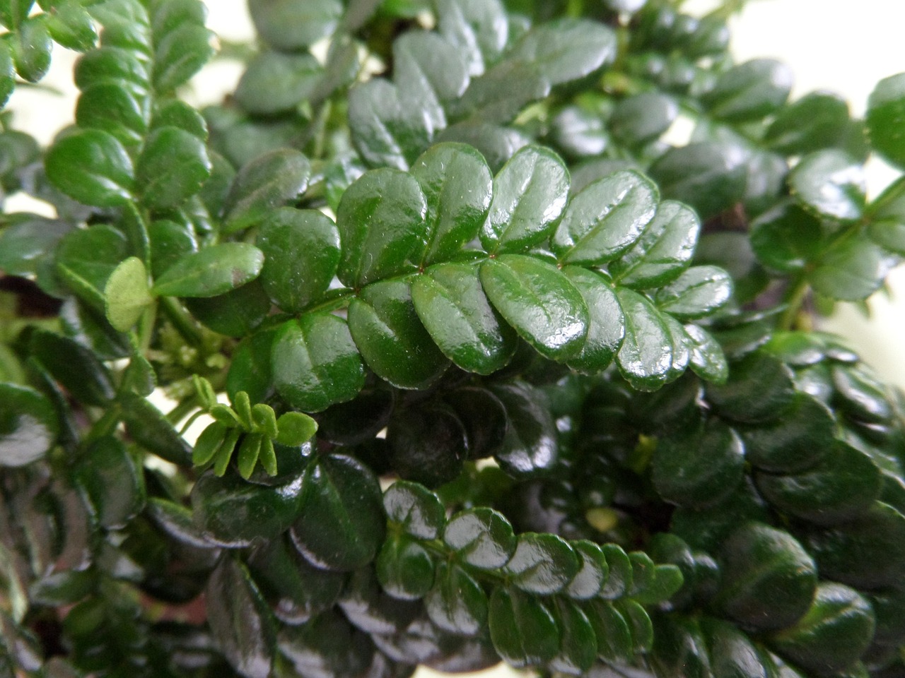 樂(lè)山新鮮資訊，探索文化、旅游與經(jīng)濟(jì)發(fā)展的最新動(dòng)態(tài)