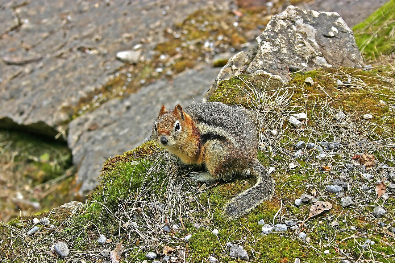 白茶與風(fēng) 第26頁(yè)