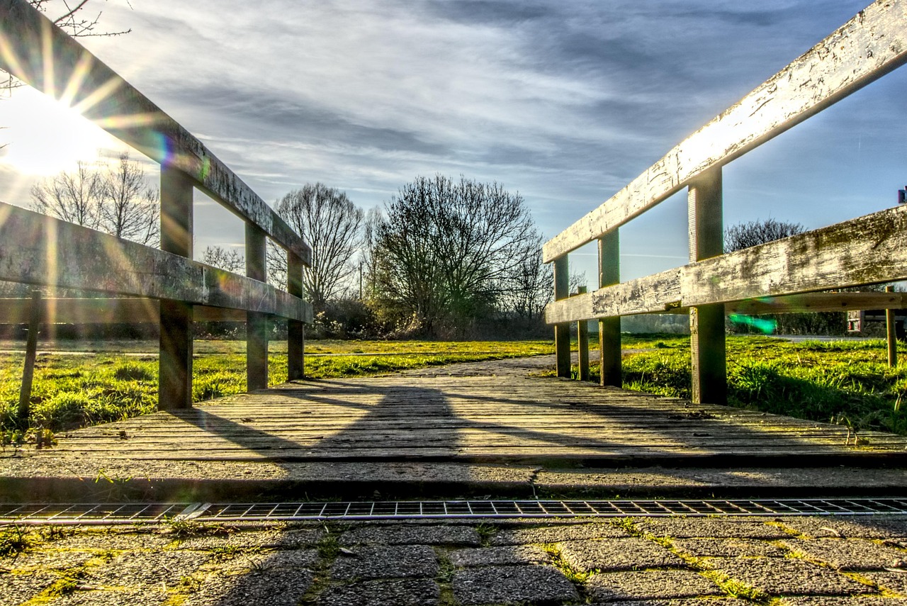 李娜最新動態(tài),閃耀不止的網(wǎng)球之光