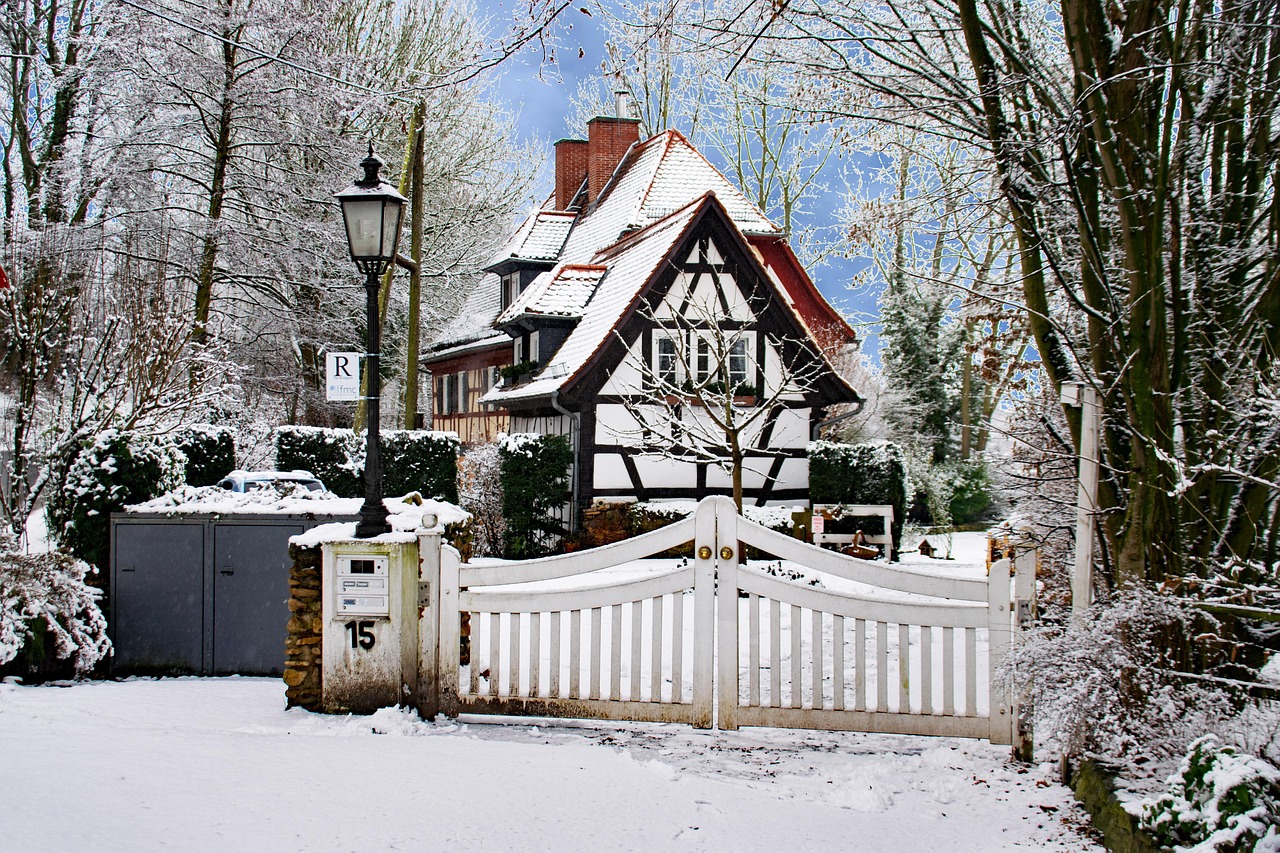 金佛山最新資訊，自然美景與文化底蘊的完美交融探索地