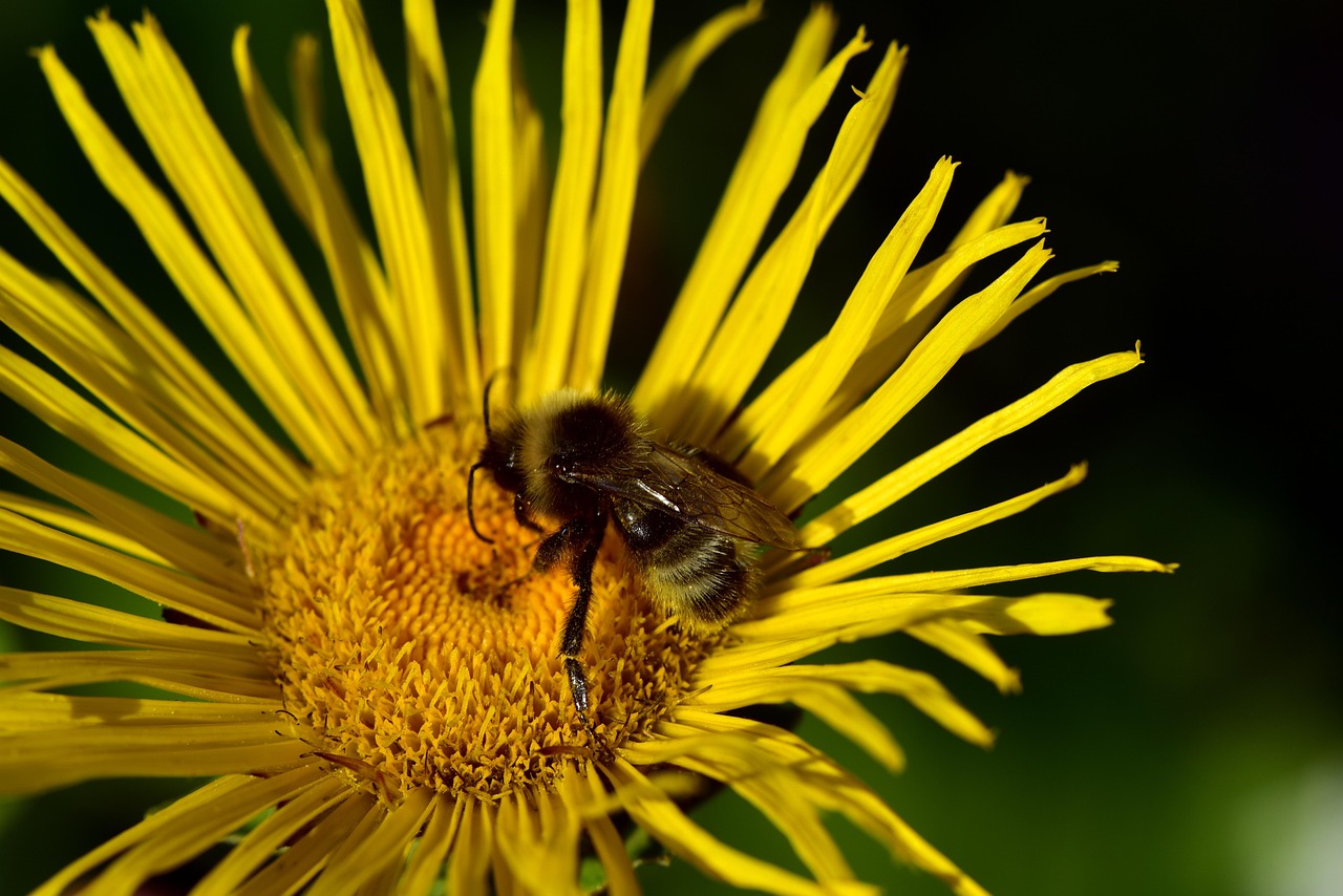 太原三河一路最新動態(tài)，城市發(fā)展與綠色生態(tài)的和諧共融之路