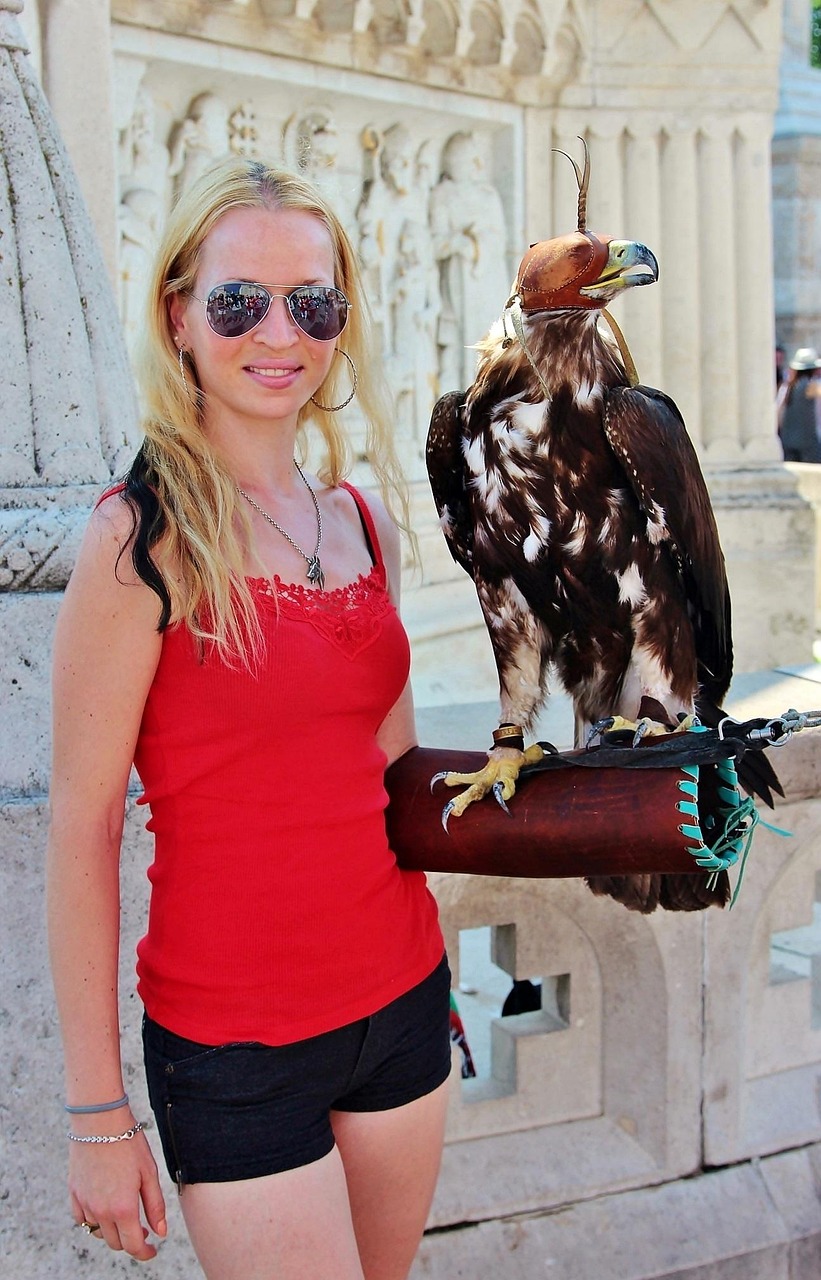 亞洲最新疫情動(dòng)態(tài)，挑戰(zhàn)、應(yīng)對(duì)策略全面解析