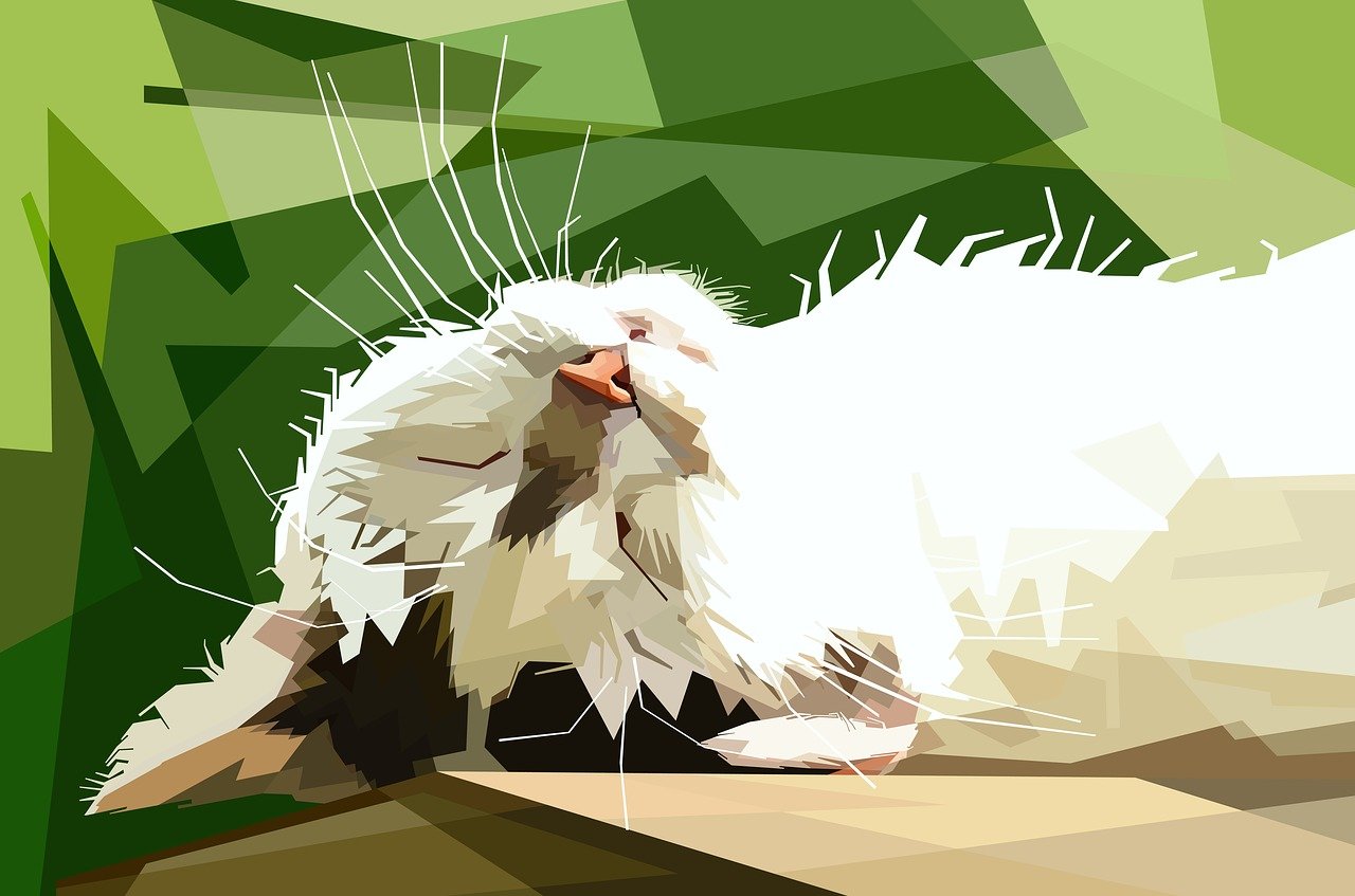 最新BBW資訊，引領(lǐng)時(shí)尚潮流與生活品質(zhì)的前沿動(dòng)態(tài)