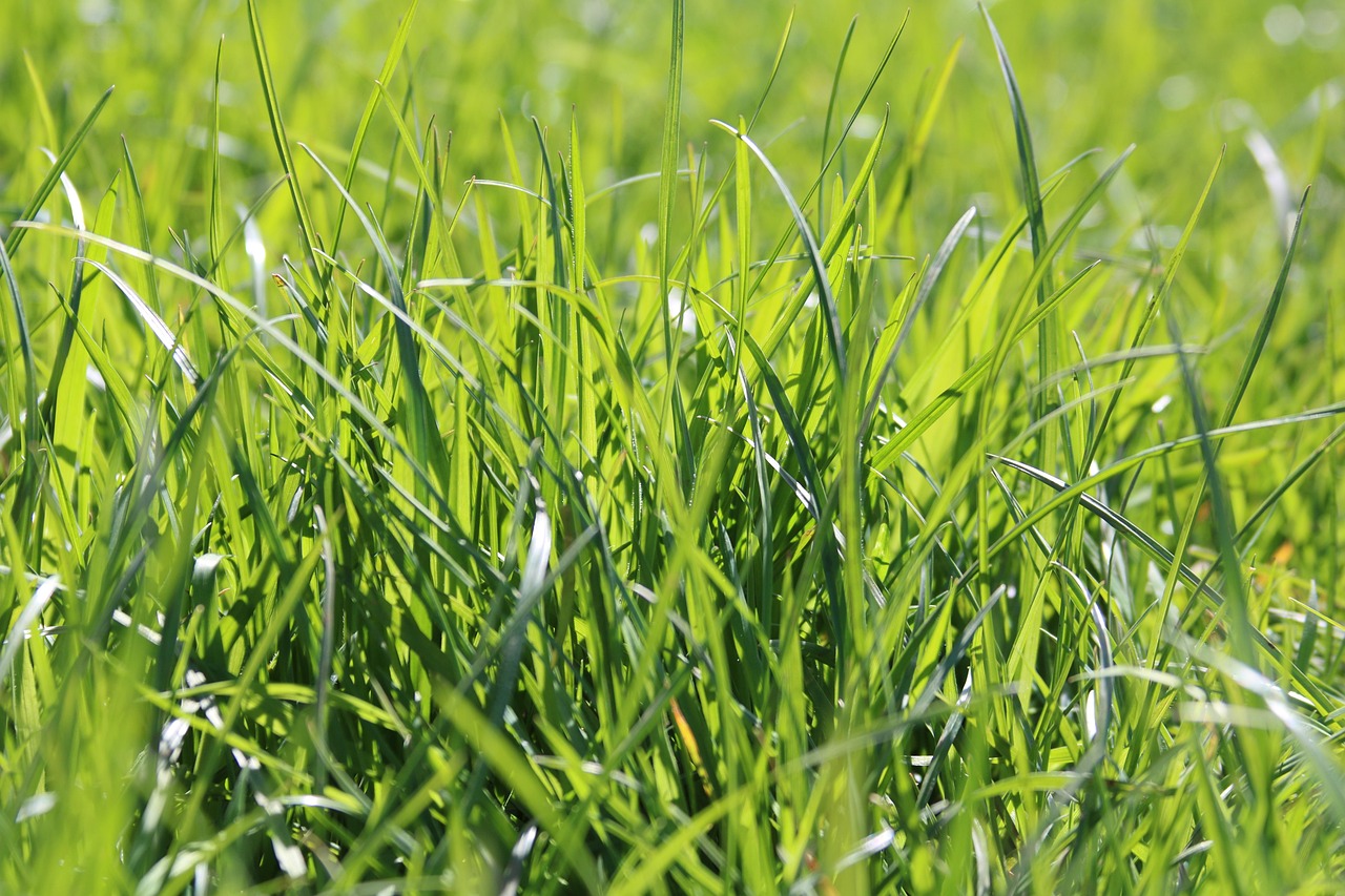 寶坻環(huán)保資訊快報(bào)，聚焦環(huán)境保護(hù)，傳遞綠色力量，倡導(dǎo)綠色生活