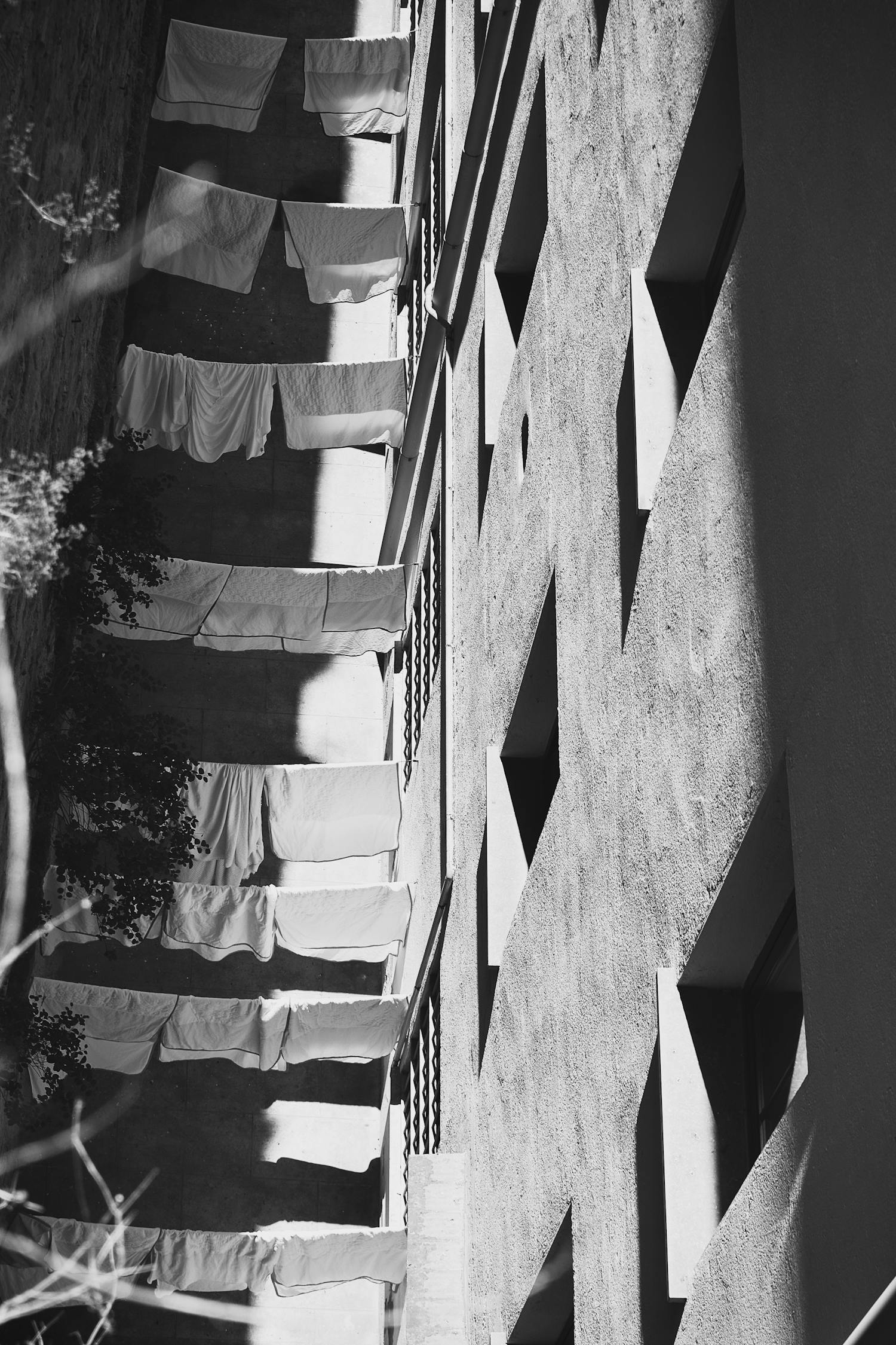 木馬電影，探尋電影藝術(shù)的獨(dú)特魅力