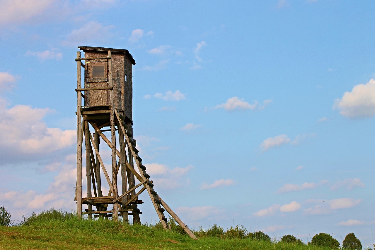 東珠景觀上市價格，市場分析、展望與探究