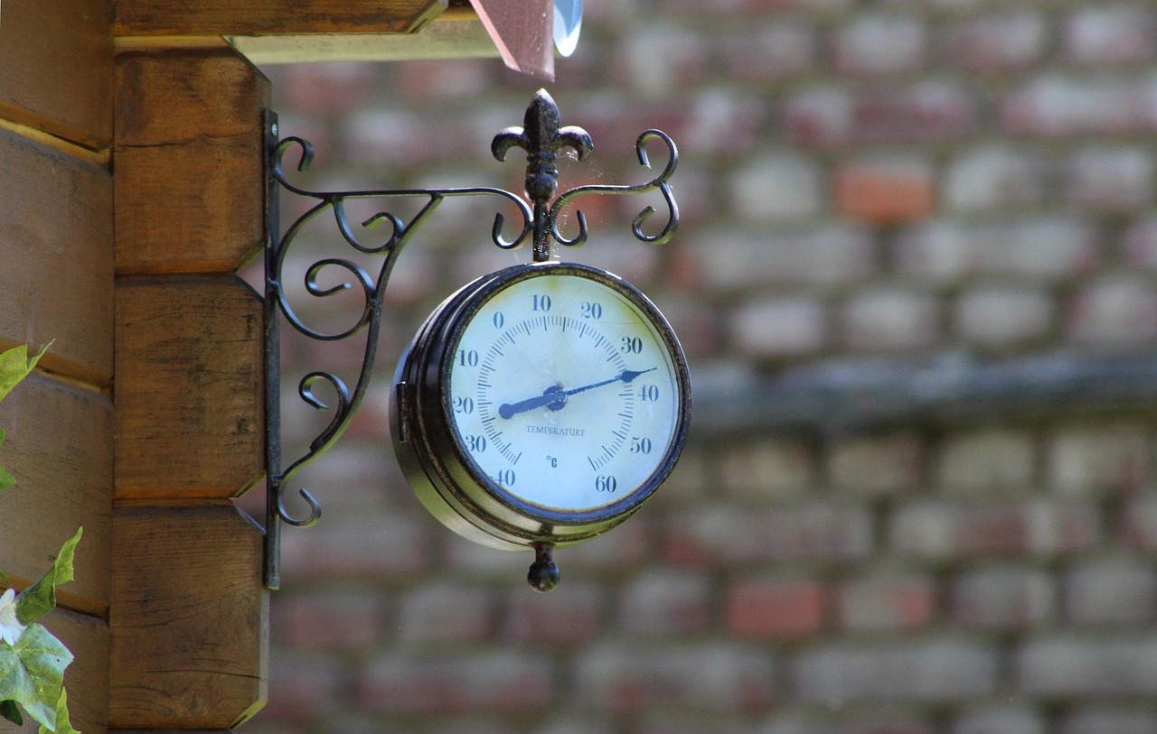 最新賽手資訊概覽，賽場動態(tài)、熱門話題熱議