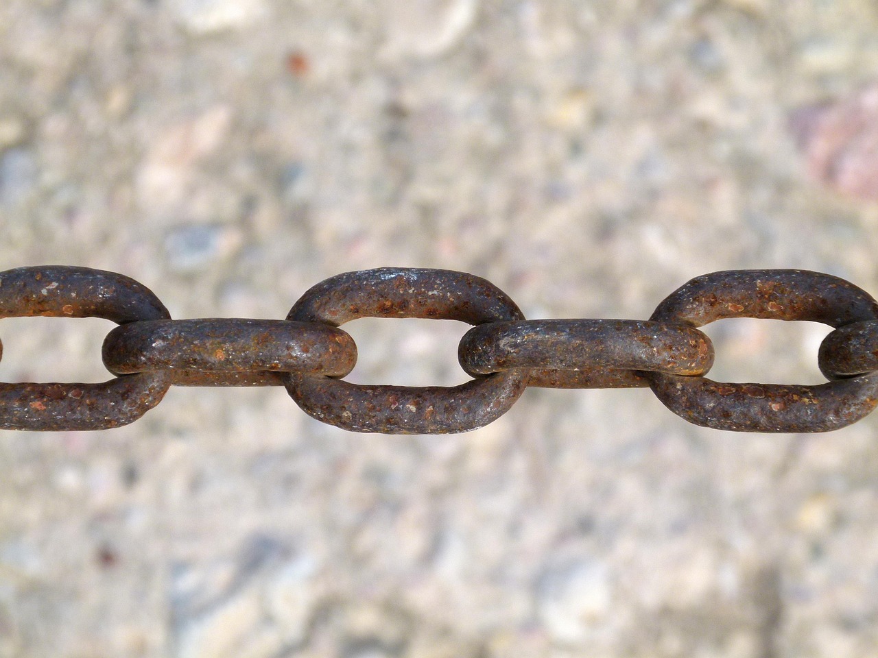 廣東鵝肉價(jià)格動(dòng)態(tài)分析與最新行情概述