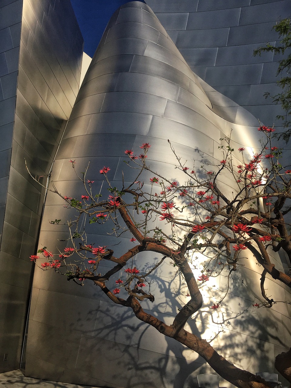 廣豐高鐵站建設(shè)進(jìn)展、最新動(dòng)態(tài)與未來展望